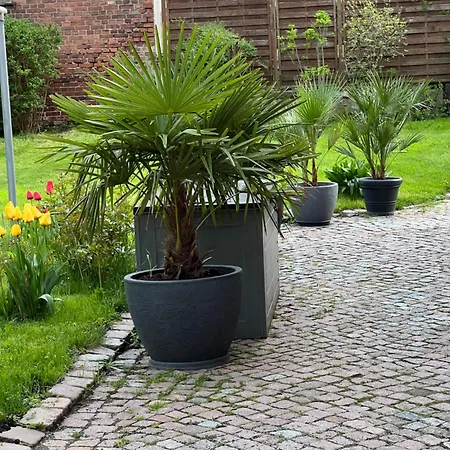 Exklusives Appartement Mit Flair *