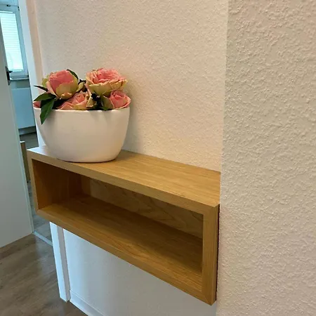 Apartment Exklusives Appartement Mit Flair Oelsnitz (Erzgebirge)