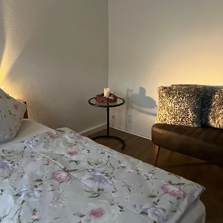 Exklusives Mit Flair * Oelsnitz (Erzgebirge)