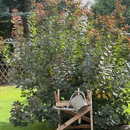 Exklusives Mit Flair * Oelsnitz (Erzgebirge)