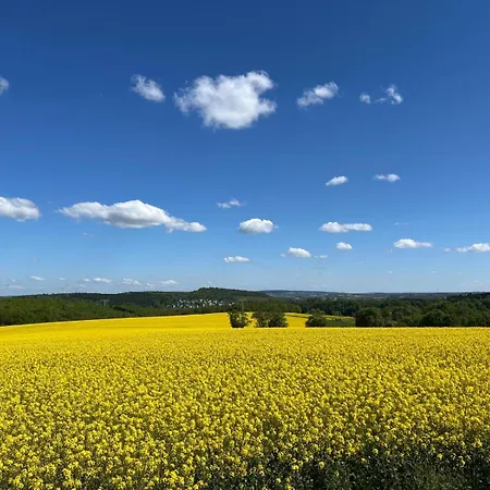 Appartamento Exklusives Mit Flair Oelsnitz (Erzgebirge)