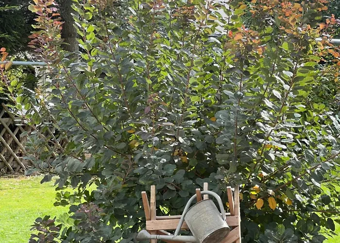 Exklusives Mit Flair * Oelsnitz (Erzgebirge)