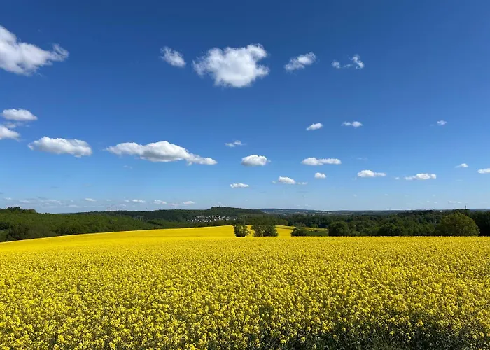 Appartamento Exklusives Mit Flair Oelsnitz (Erzgebirge)